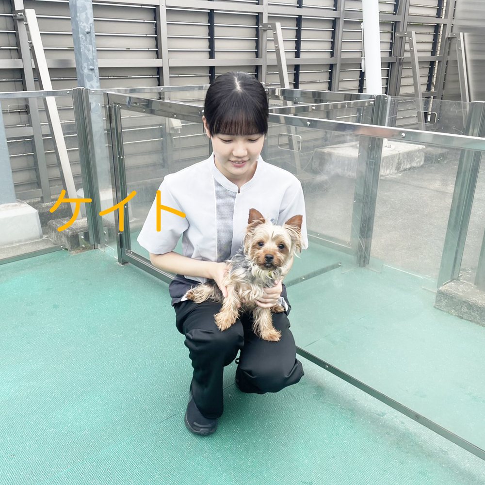 生徒が撮影した写真☆☆☆①